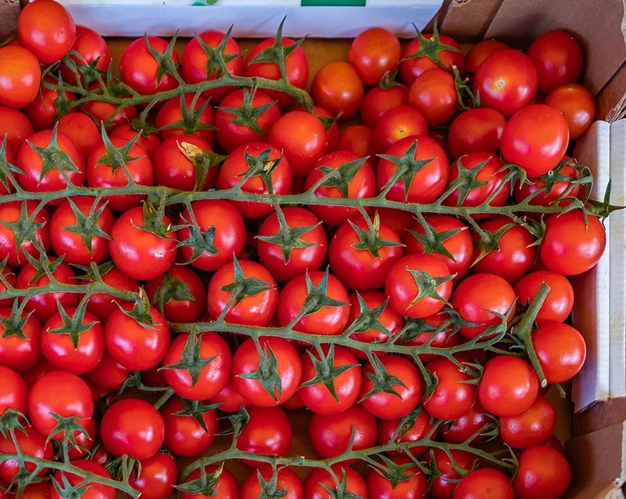produs agri investitii avantaje 1
