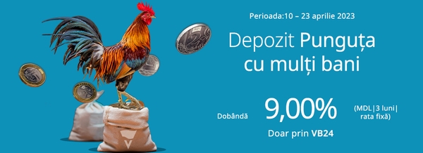 Depozit „Punguța cu mulți bani”