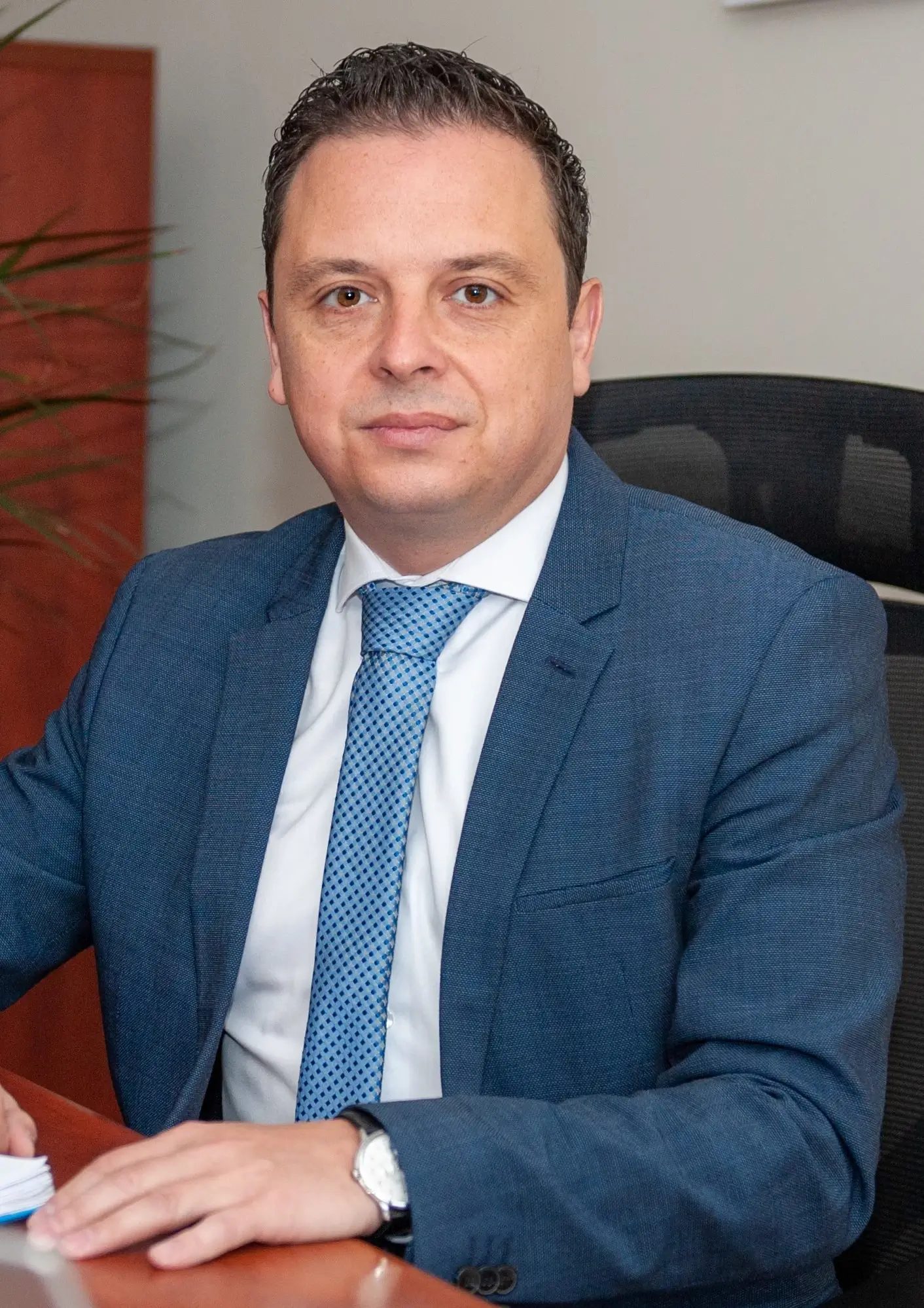 Victoriabank Mircea Aursulesei